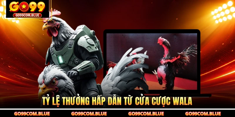 Tỷ lệ thưởng hấp dẫn từ cửa cược wala